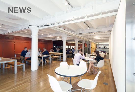 BDP and Nippon Koei to unite