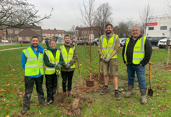 BDP first company to support Bristol’s Tree campaign