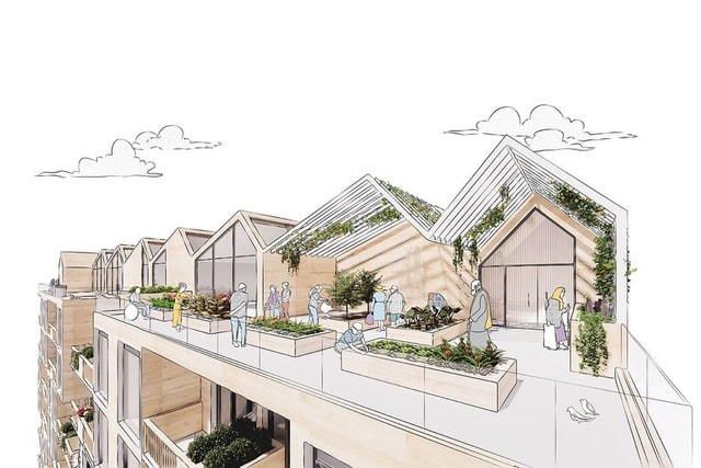 Residential building roof top garden