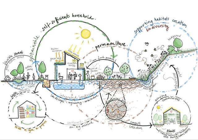 Harrington Landscape