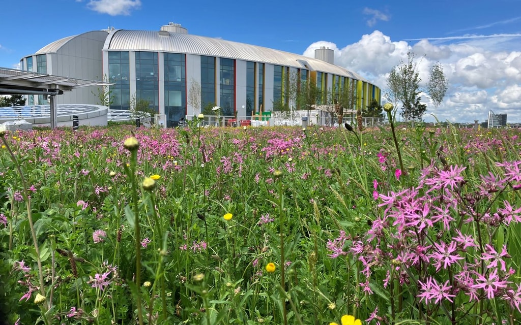 New Dublin Children's Hospital Field External