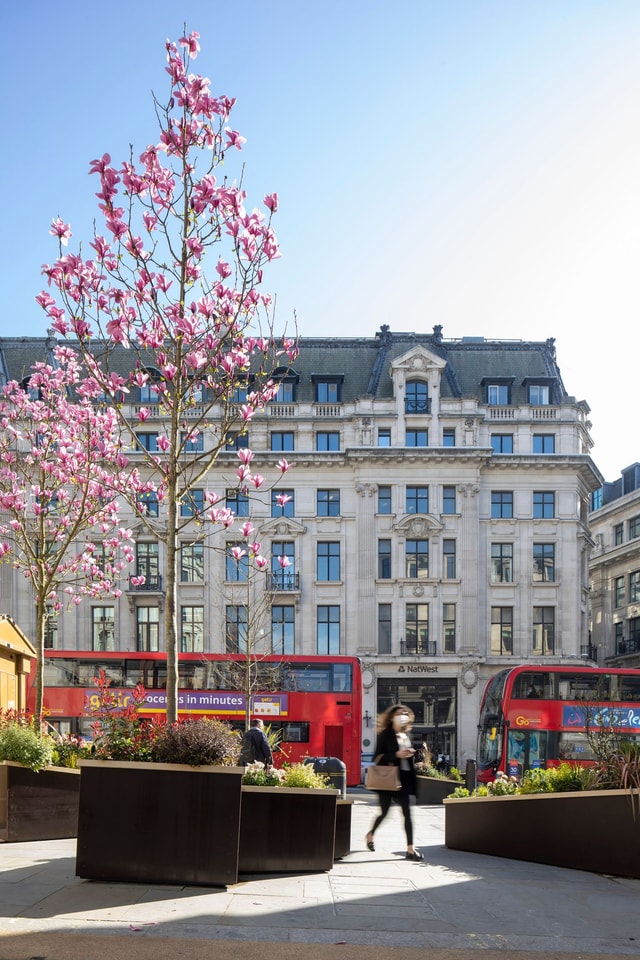 Regent Street