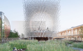 THe Hive Dusk