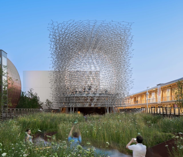 The Hive