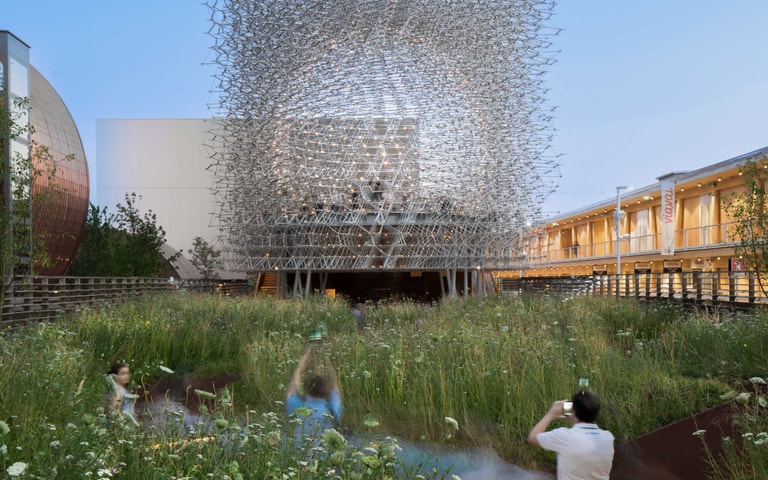 The Hive