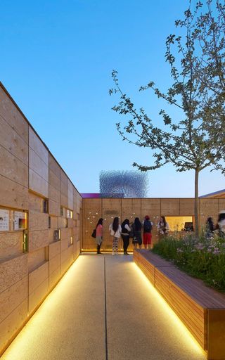 The Hive_Inclusion