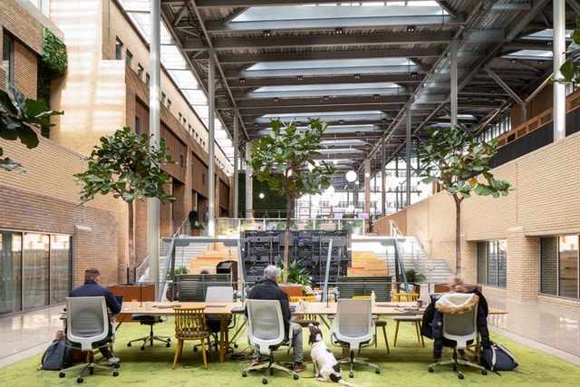Glasshouse