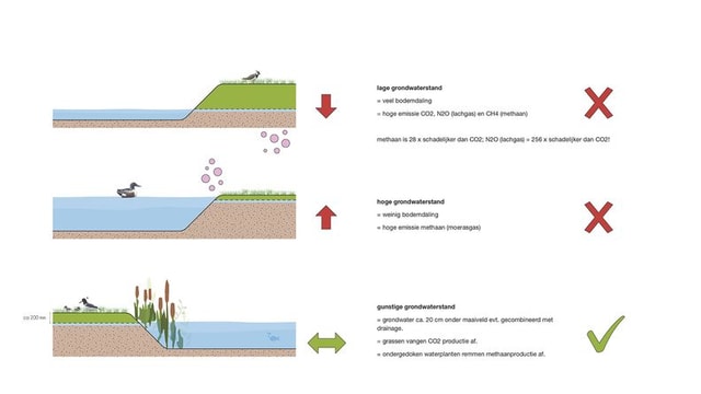 (t)Huis in de Krimpenerwaard!