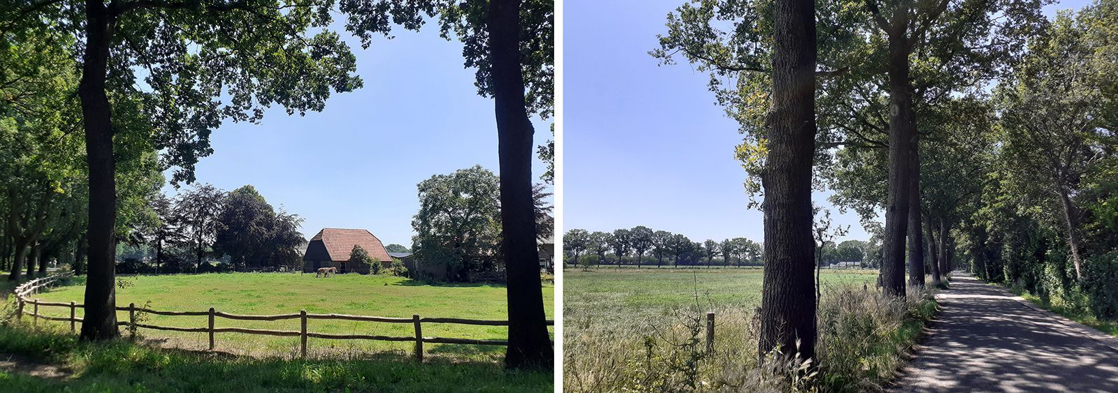 BDP presenteert ontwikkelingsvise Halvinkhuizen aan bewoners