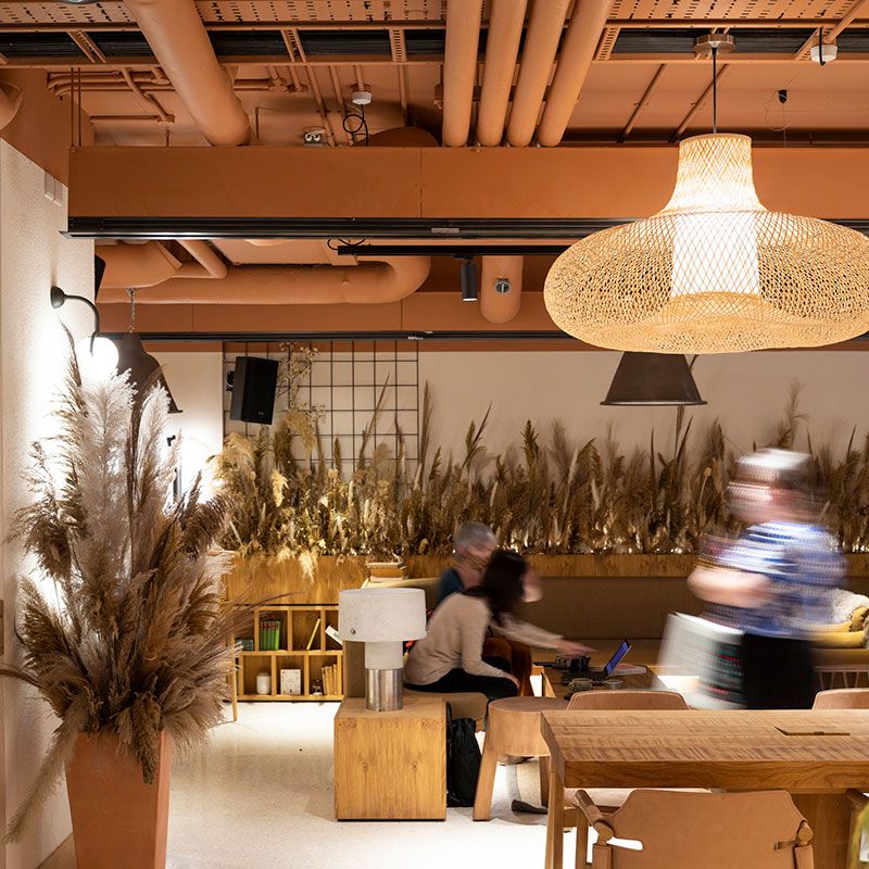 Introducing Ireland’s most sustainable hotel